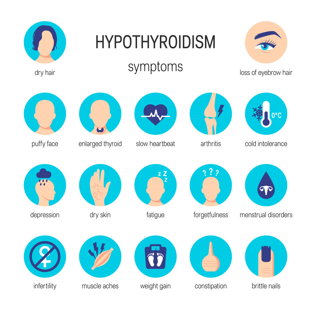 Hyperthyroidism vs hypothyroidism symptoms. Vector medical illustration in flat style