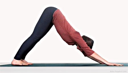 Woman in Downward Facing Dog (Adho Mukha Svanasana) Pose Woman in Downward Facing Dog (Adho Mukha Svanasana) Pose