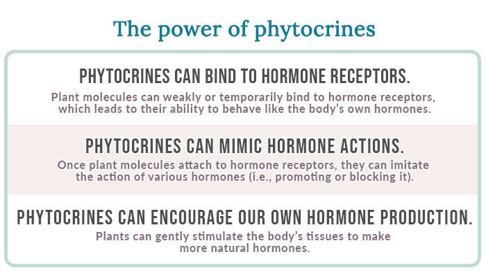 power of phytocrines