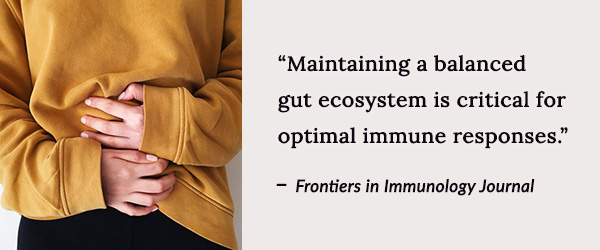 maintaining a balanced gut ecosystem is critical for optimal immune response