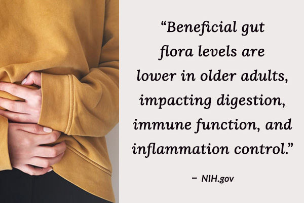 Beneficial gut flora levels are lower in older adults