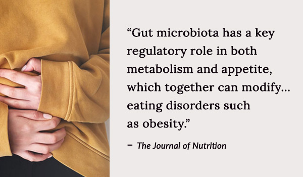 Gut microbiota has a key regulatory role in both metabolism and appetite