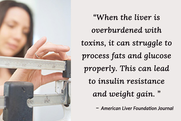 liver overburdened with toxins can lead to insulin resistance and weight gain