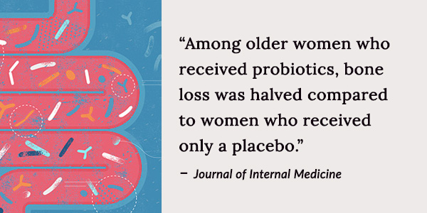 Among older women who 
received probiotics, bone 
loss was halved compared 
to women who received 
only a placebo.