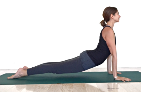 Vinyasa yoga focuses on moving or flowing between poses vinyasa yoga pose